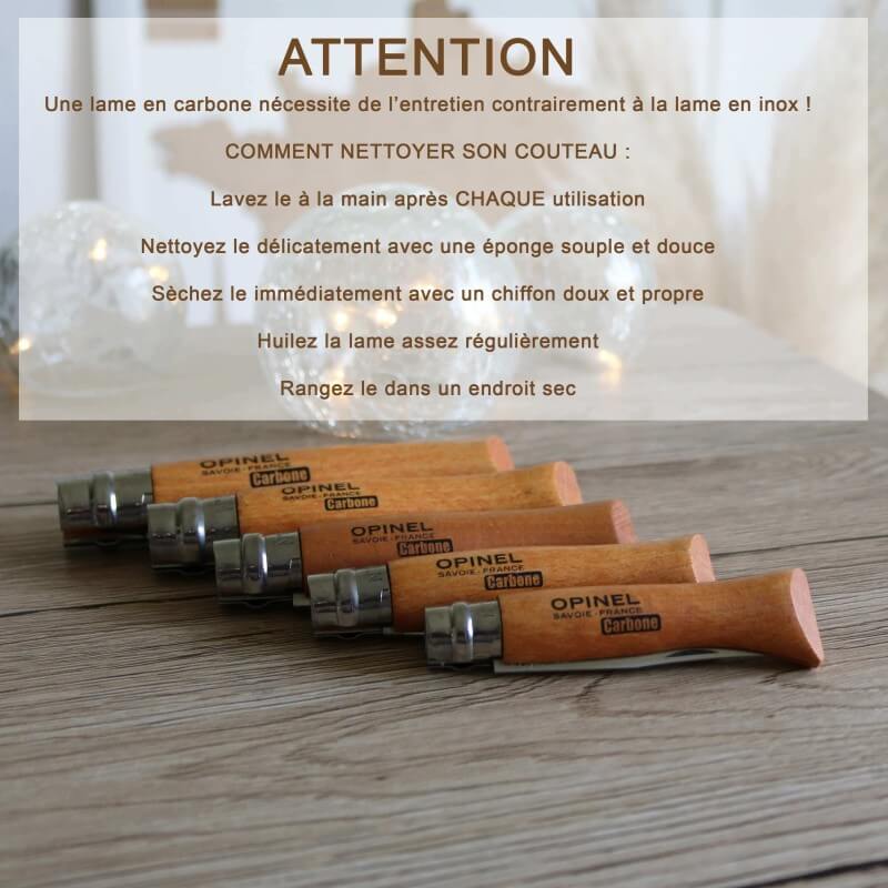 Guide d'entretien pour une lame carbone