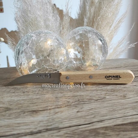 Couteau pour légumes Opinel n° 114 manche en bois et lame acier inoxydable
