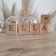 Cube alphabet bois prénom décoration lettres Ella pictogramme coeur