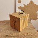 Boite de rangement coton tige 