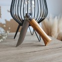 Couteau Opinel N°9 inox