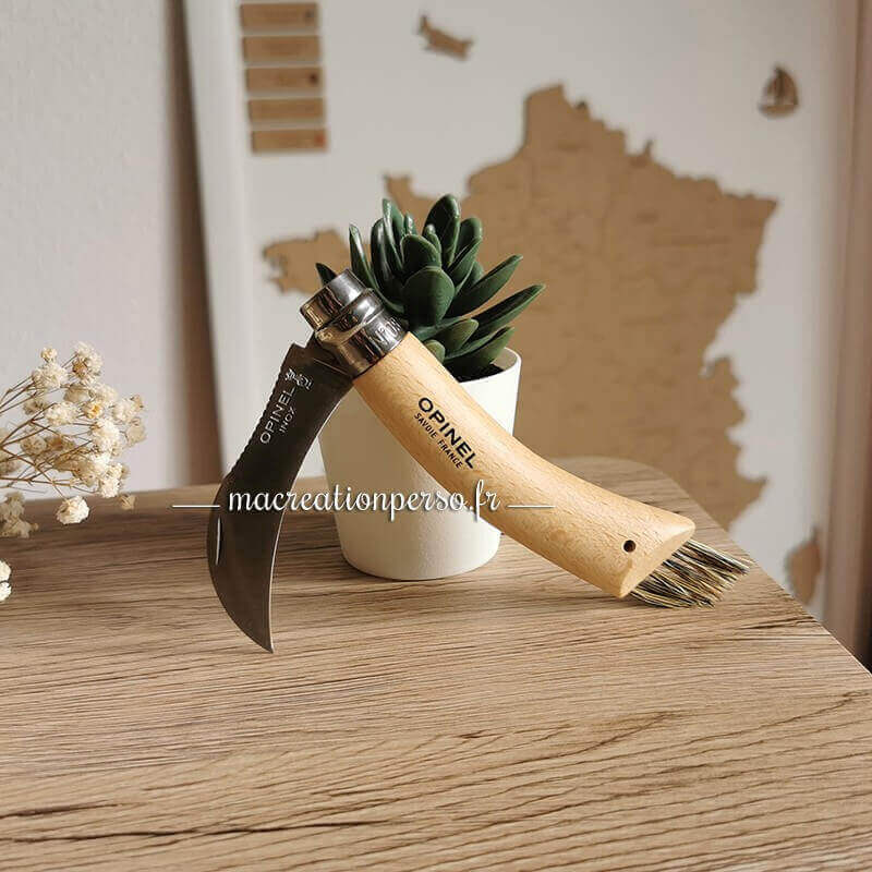 Couteau à champignon avec brosse et lame en acier inoxydable